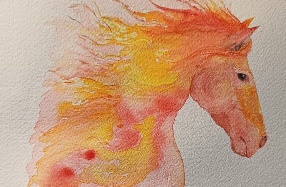 Chinese New Year – Year of the Fire Horse